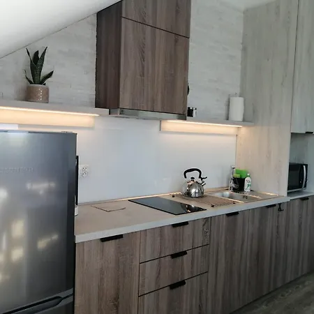 Rybitwy Apartment Mielno (Koszalin)